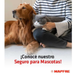 Seguros para Mascotas: Crecimiento y Friendflation en Chile