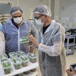Grupo Hijuelas Francia: Innovación y Alianzas en Biotecnología