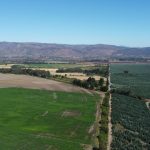 Parque Eólico Fénix: ¿Cuál es su impacto en la energía renovable?