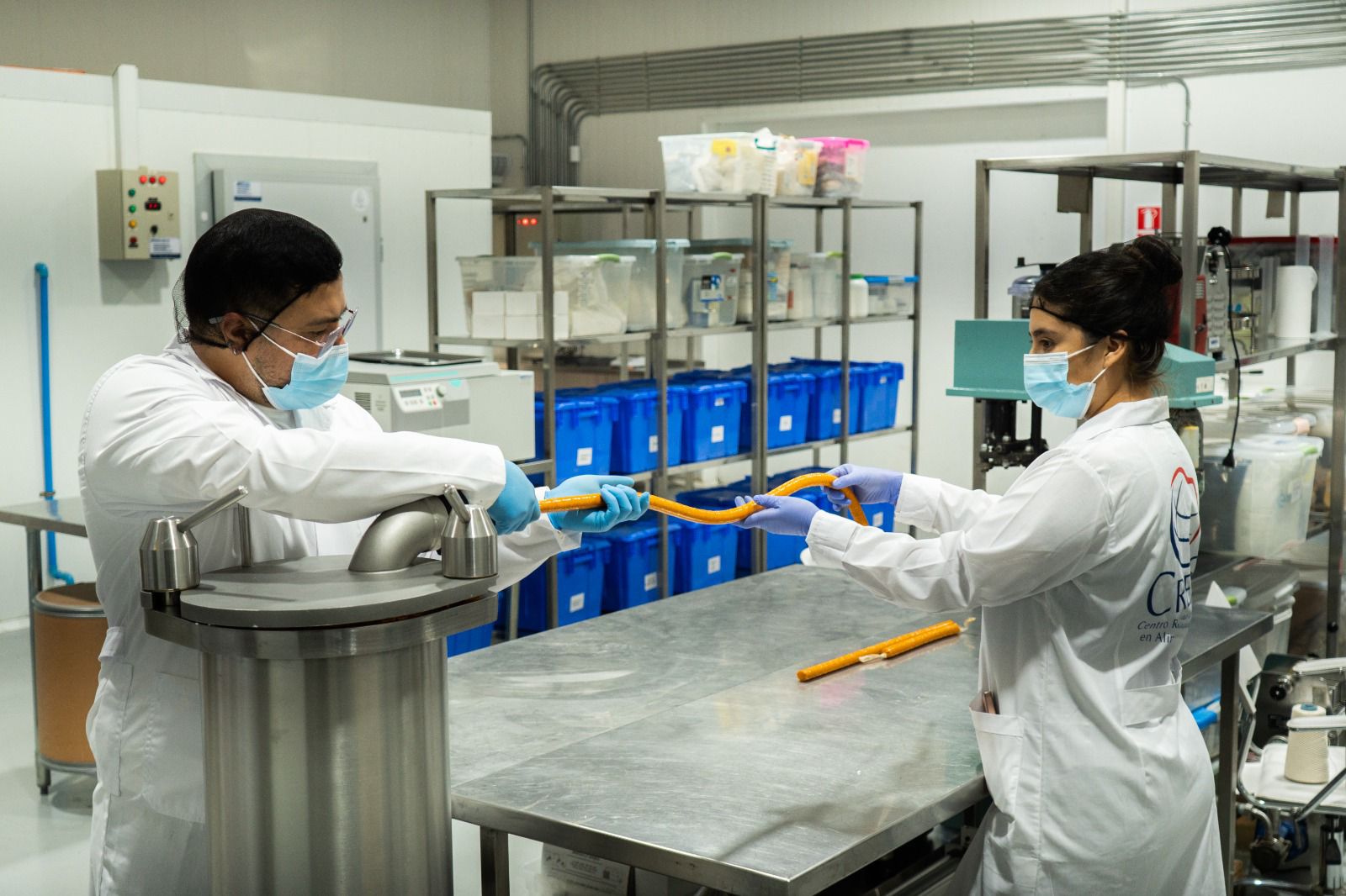 Salchichas vegetales: La nueva era de embutidos más saludables